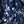 Navy Sprig Garden