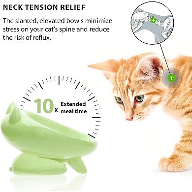 2 Pack Elevated Slow Feeder Cat Bowls,Whisker-Friendly Tilted Ceramic Bowls To Reduce Vomiting