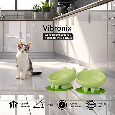 2 Pack Elevated Slow Feeder Cat Bowls,Whisker-Friendly Tilted Ceramic Bowls To Reduce Vomiting