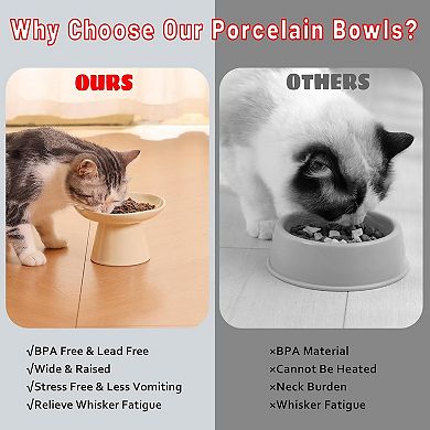 6.1" Raised Cat Bowls, Ceramic Elevated Food Plate for Flat Faced Cats and Small Dogs