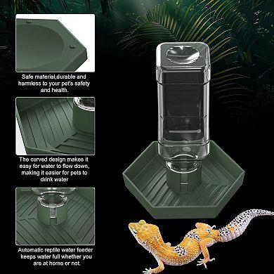 Reptile Water Dispenser-Bearded Dragon Water Bowl Small Water Dish for Tortoise