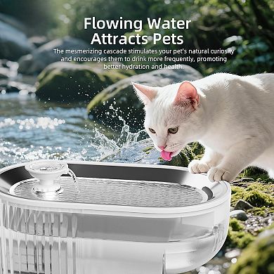 Cat Water Fountain,Stainless Steel Tray ,White Single Filter Element, Not Mat