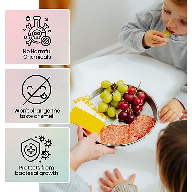 Children's Stainless Steel 4 pcs Plate Set, Matte Finish, Toxin Free, BPA Free