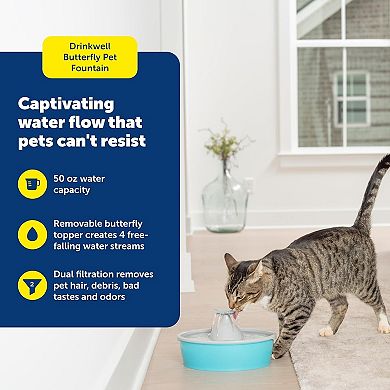 Butterfly Cat Water Fountain with Pump Filters,50 Oz Capacity,Keep Water Clean