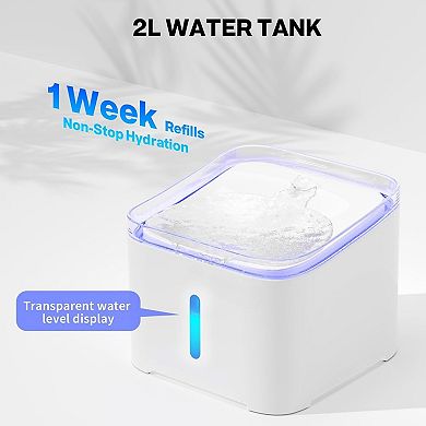 Cat Water Fountain Quiet,67oz/2.0L Water Fountains with LED Light and Water Level Window