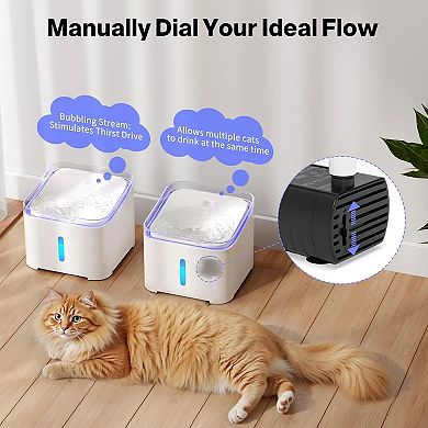 Cat Water Fountain Quiet,67oz/2.0L Water Fountains with LED Light and Water Level Window