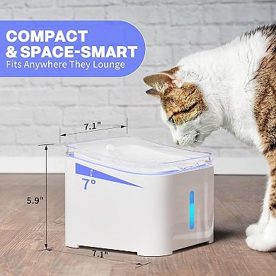 Cat Water Fountain Quiet,67oz/2.0L Water Fountains with LED Light and Water Level Window