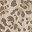 Brown Leopard