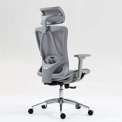 GOODSILO Ergonomic High Back Mesh Office Chair with Adjustable Lumbar Support