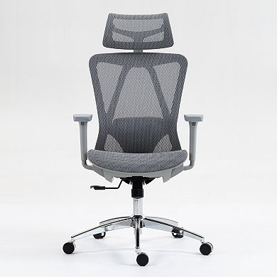 GOODSILO Ergonomic High Back Mesh Office Chair with Adjustable Lumbar Support