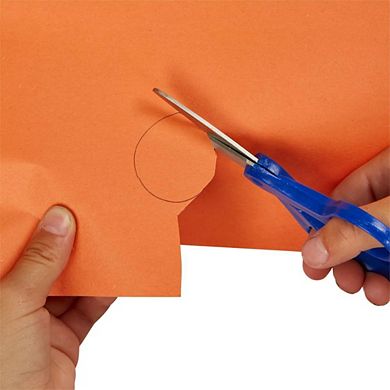 Enigma Meadows 10 Assorted Colors Craft Papers