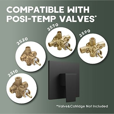 CASAINC Moen Replacement Trim Kit