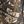 Tan Nature Camo