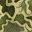 Green Dino Camo