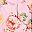 Pink Coral