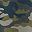 Green Olive Camo