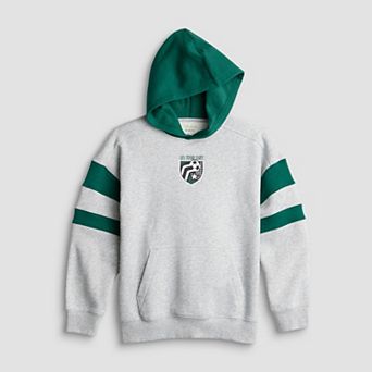 Boys 8-20 Tek Gear® Relaxed Colorblock Hoodie