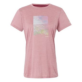 Regatta Womens/Ladies Fingal IX Meadow Marl T-Shirt