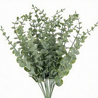 20 pc Eucalyptus Stems for Home Decor