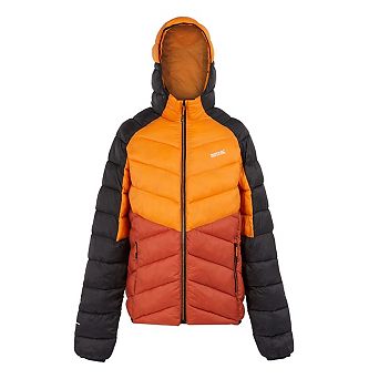 Regatta Mens Dalent Hooded Insulated Jacket