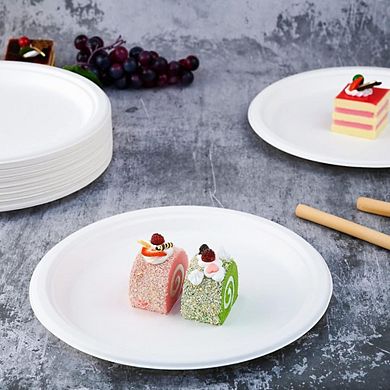 150-Pack Compostable Disposable Paper Plates