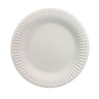 125 pc Paper Plates