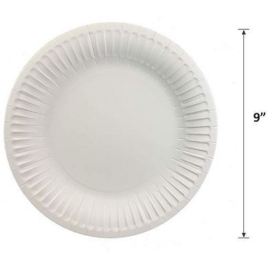 125 Pieces Paper Plates