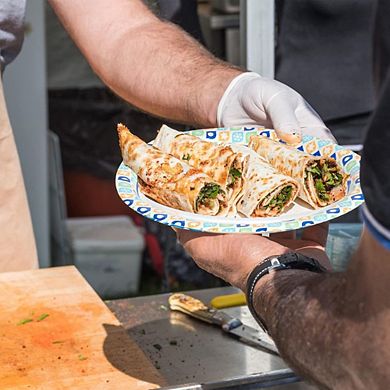 120 Pieces Paper Plates