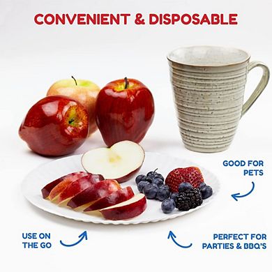 100-Pack Hy Gloss Paper Plates