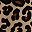 Tan Luxe Cheetah