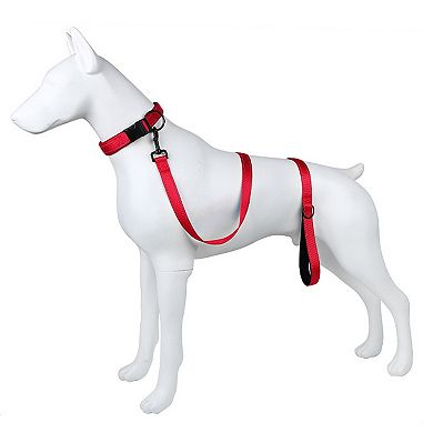 Dog Leash Comfort Reflective Nylon Pet Training Leash with Padded Handle 4ft and 5ft