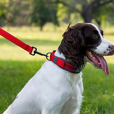 Dog Leash Comfort Reflective Nylon Pet Training Leash with Padded Handle 4ft and 5ft