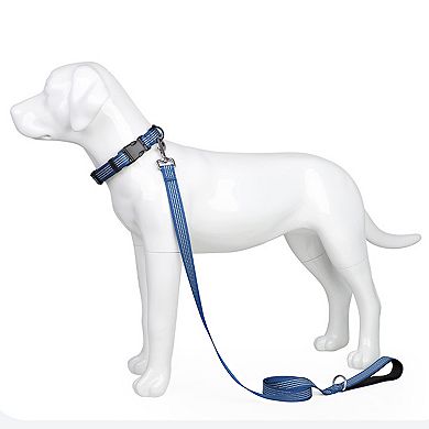 Dog Leash Padded Handle Comfort Reflective Nylon Pet Leash for All Breeds 4ft and 5ft