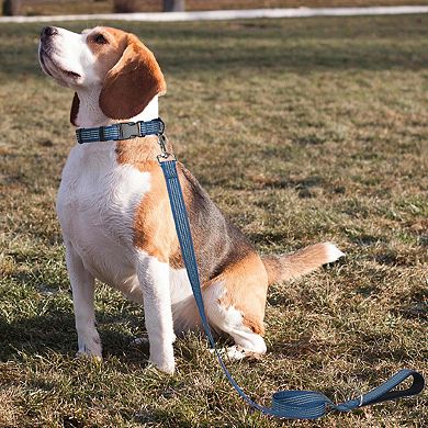 Dog Leash Padded Handle Comfort Reflective Nylon Pet Leash for All Breeds 4ft and 5ft