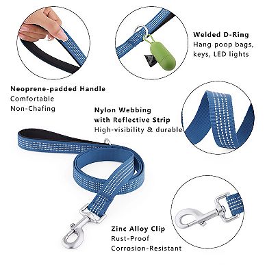 Dog Leash Padded Handle Comfort Reflective Nylon Pet Leash for All Breeds 4ft and 5ft