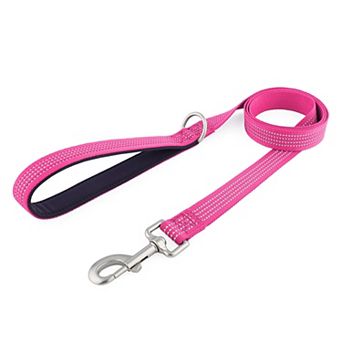Dog Leash Padded Handle Comfort Reflective Nylon Pet Leash for All Breeds 4ft and 5ft