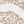 Leopard Turtledove