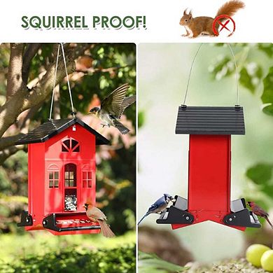 Bird Feeder Squirrel Proof