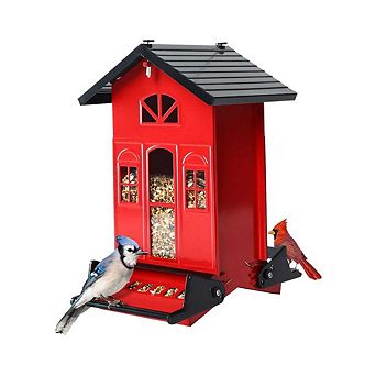 Bird Feeder Squirrel Proof