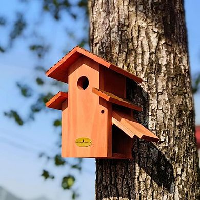 Hardwood Comfy Mansion Bluebird House