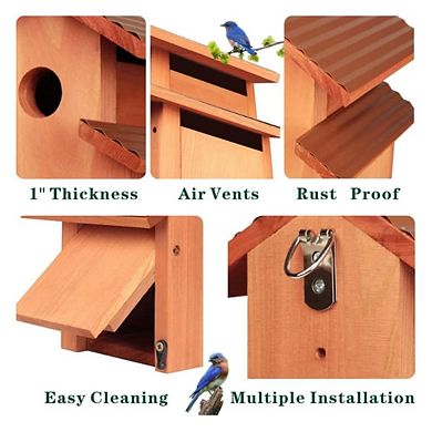 Hardwood Comfy Mansion Bluebird House