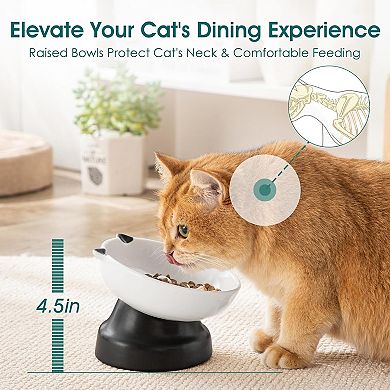 Slow Feeder Cat Bowls, Ceramic Elevated Slow Feeder Cat Bowls, Raised Food Bowl