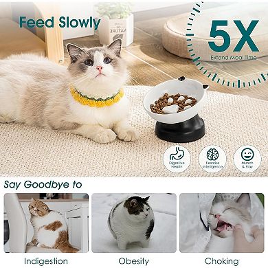 Slow Feeder Cat Bowls, Ceramic Elevated Slow Feeder Cat Bowls, Raised Food Bowl