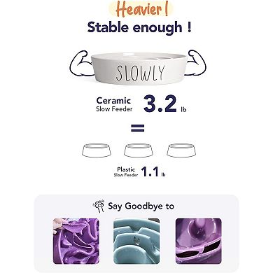 Slow Feeder Dog Bowl - 1.5 Cups Ceramic Puzzle Feeder for Small & Medium Breeds