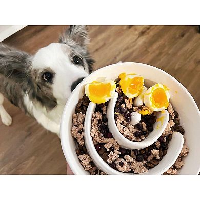 Slow Feeder Dog Bowl - 1.5 Cups Ceramic Puzzle Feeder for Small & Medium Breeds