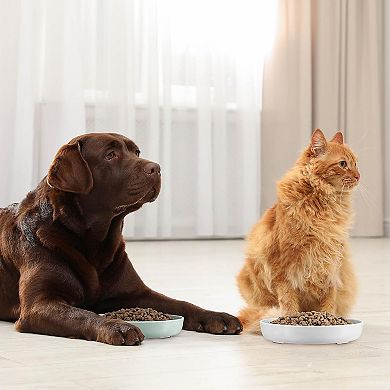 2 Pcs Cat Interactive Slow Feeder Bowl - Fish Pool Design