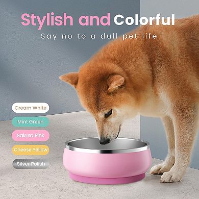 Stainless Steel Dog Bowl with Non-Slip Rubber Base Double Wall Insulation,34 Oz