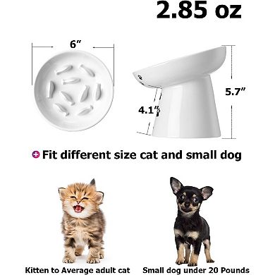 Slow Feeder Cat Bowl, Ceramic Cat Slow Feeder Bowl, 6 Inches, Elevated, Anti Vomiting