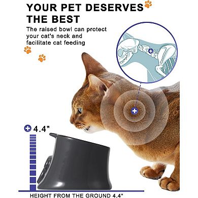 Slow Feeder Cat Bowl, Elevated Cat Food Bowl Tilted Design, Dog Slow Bowl No Black Chin