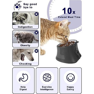 Slow Feeder Cat Bowl, Elevated Cat Food Bowl Tilted Design, Dog Slow Bowl No Black Chin